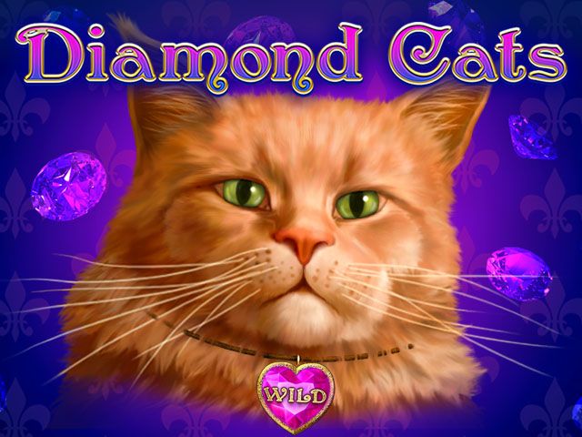 Diamond Cats