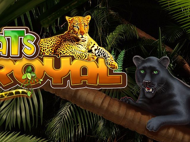 Cats Royal