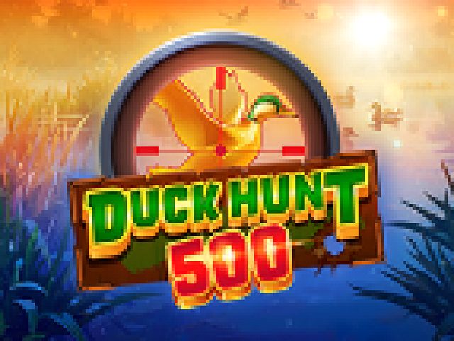 Duck Hunt 500
