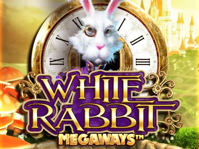 White Rabbit