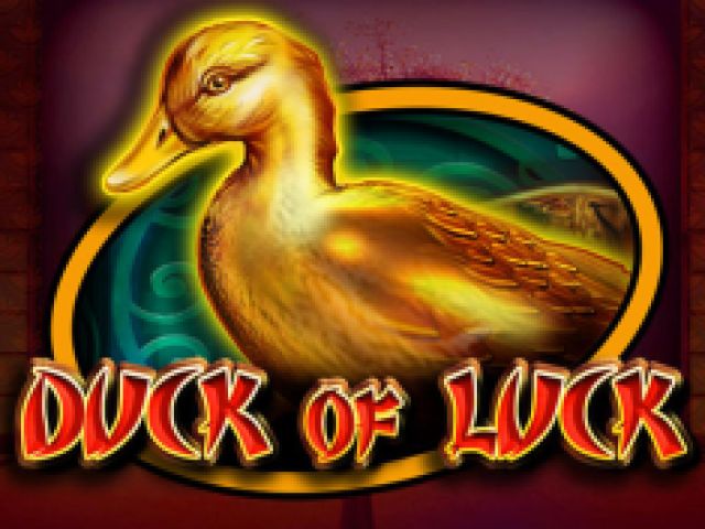 Duck Of Luck