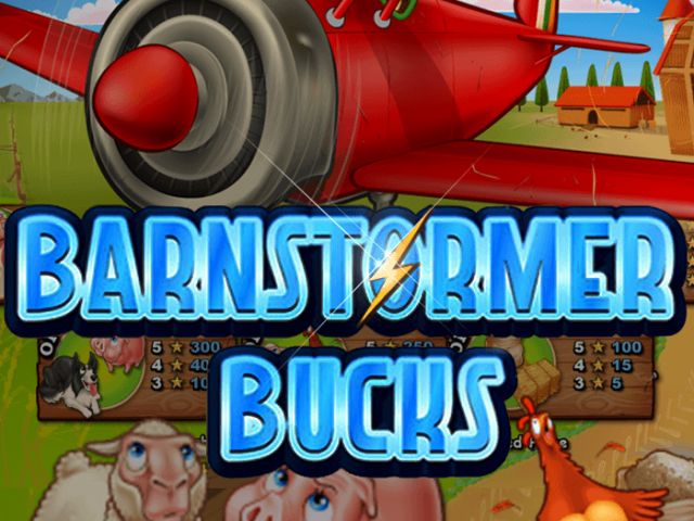 Barnstormer Bucks