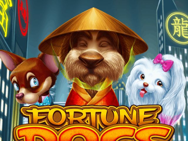 Fortune Dogs