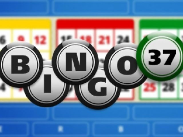 Bingo 37