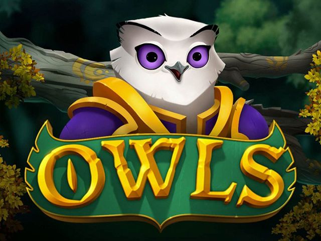 Owls