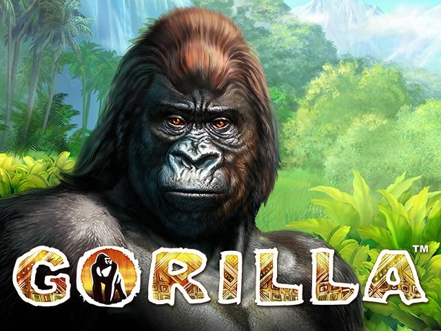 Gorilla