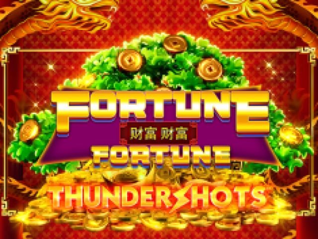 Fortune Fortune: Thundershots 