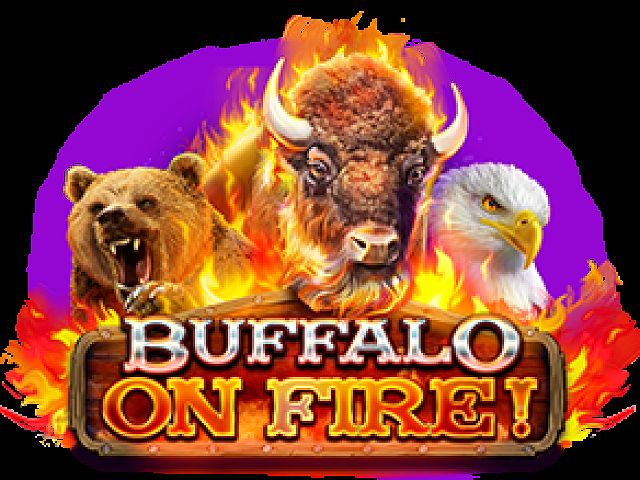 Buffalo on fire!