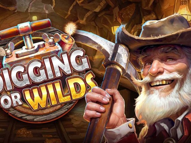 Digging for Wilds