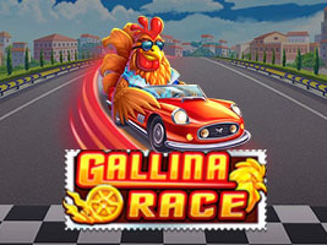 Gallina Race 92