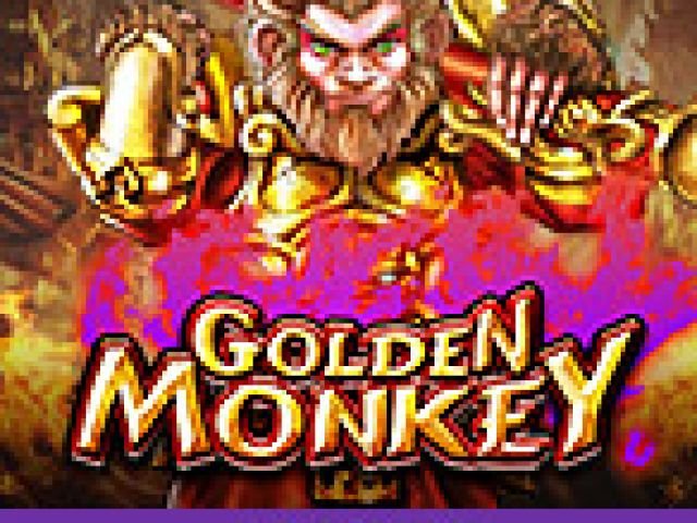 Golden Monkey