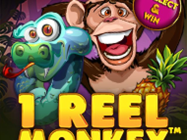 1 Reel Monkey