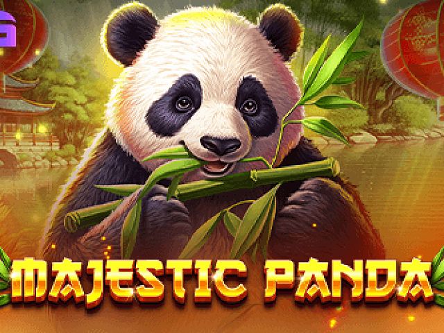 Majestic Panda