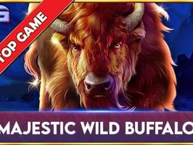 Majestic Wild Buffalo