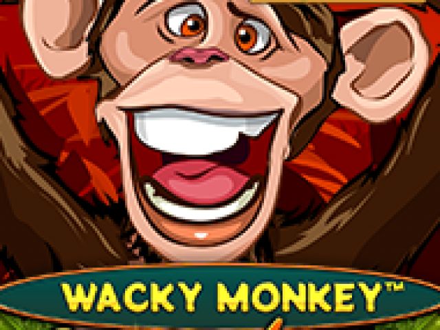 Wacky Monkey - ??Chase'N'Win