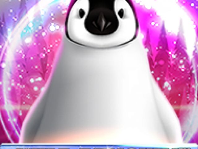 Wild Penguin