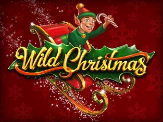 Wild Christmas