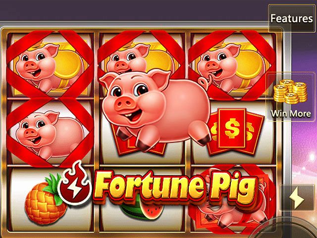 Fortune Pig