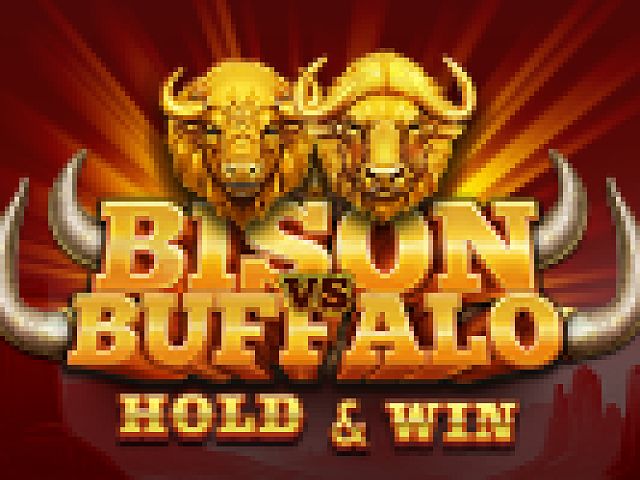 Bison vs Buffalo