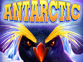 Antarctic