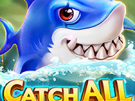 Catch All