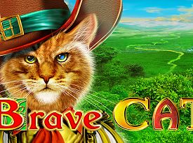 Brave Cat