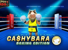 Cashybara Boxing Edition