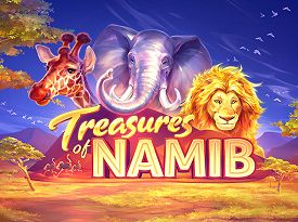 Treasures of Namib