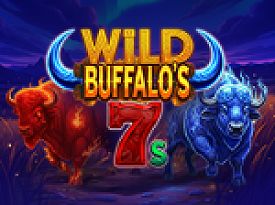 Wild Buffalo's 7's