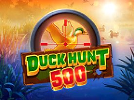 Duck Hunt 500