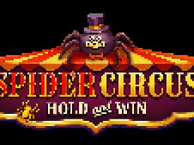 Spider Circus Hold and Win