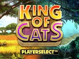 King Of Cats