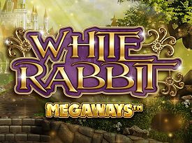 White Rabbit
