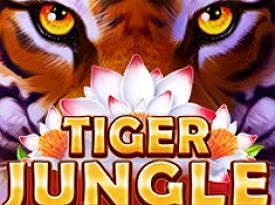 Tiger Jungle