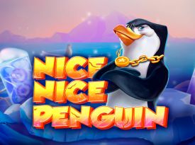 Nice Nice Penguin