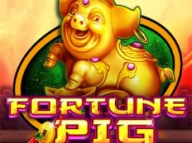 Fortune Pig
