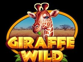 Giraffe Wild