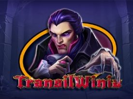TransilWinia
