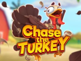 Chase the Turkey ™