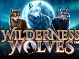Wilderness Wolves™