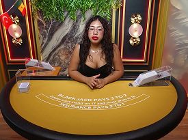 Blackjack VIP 19