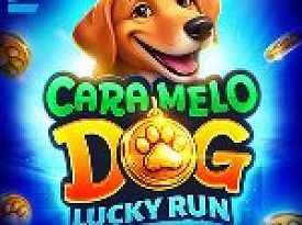 Caramelo Dog: Lucky Run