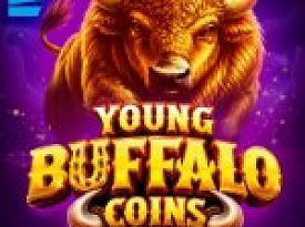 Young Buffalo Coins Special