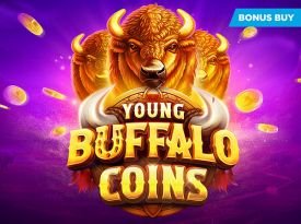 Young Buffalo Coins