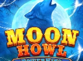 MoonHowl TowerHits