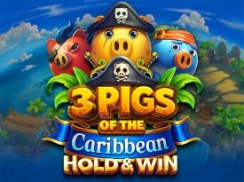 3 Pigs of the Caribbean