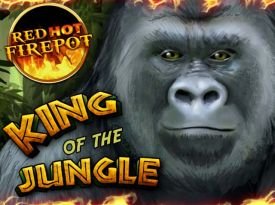 King of The Jungle Red Hot Firepot