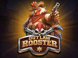 Outlaw Rooster