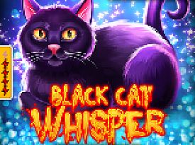 Black Cat Whisper (reel respin)