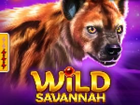 Wild Savannah